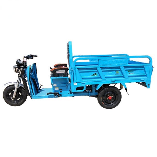 Cargo Tricycle Utilitaire 1000w Electric Tricycle Turkey Market