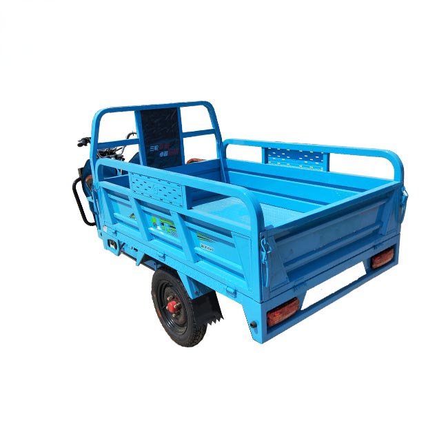 Cargo Tricycle Utilitaire 1000w Electric Tricycle Turkey Market