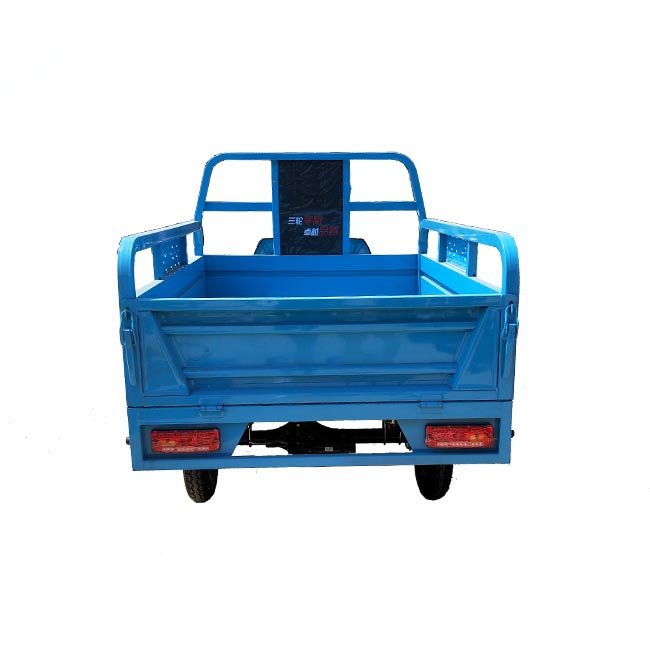 Cargo Tricycle Utilitaire 1000w Electric Tricycle Turkey Market