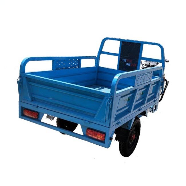 Cargo Tricycle Utilitaire 1000w Electric Tricycle Turkey Market