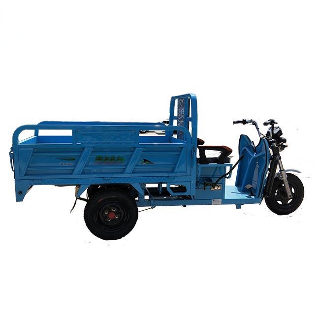Cargo Tricycle Utilitaire 1000w Electric Tricycle Turkey Market