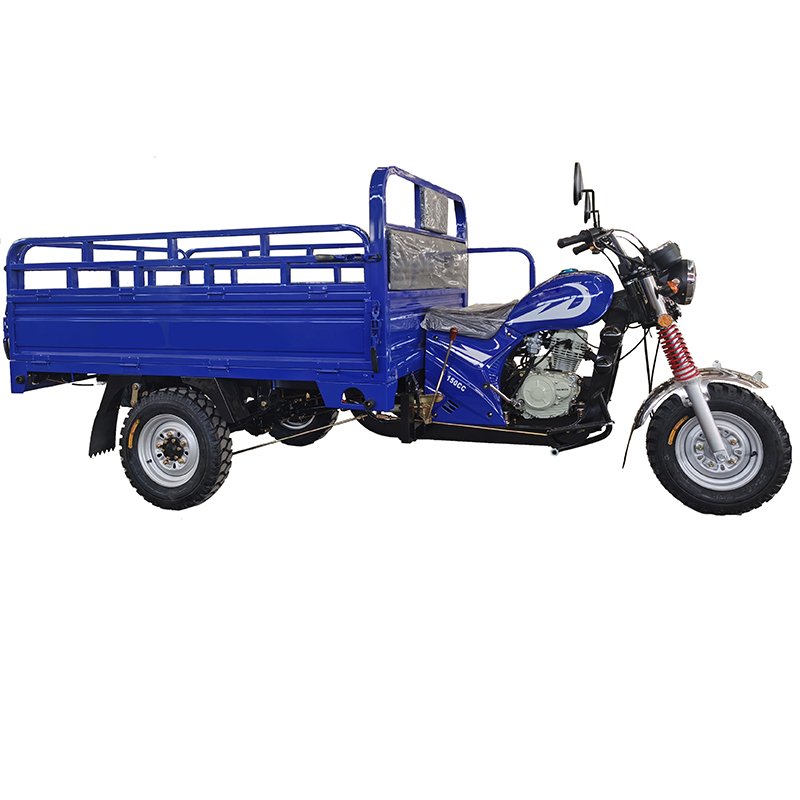 2021 Chinese New Design Powerful Super Speed Gas Moto Loader 250cc Cargo Motor Tricycle