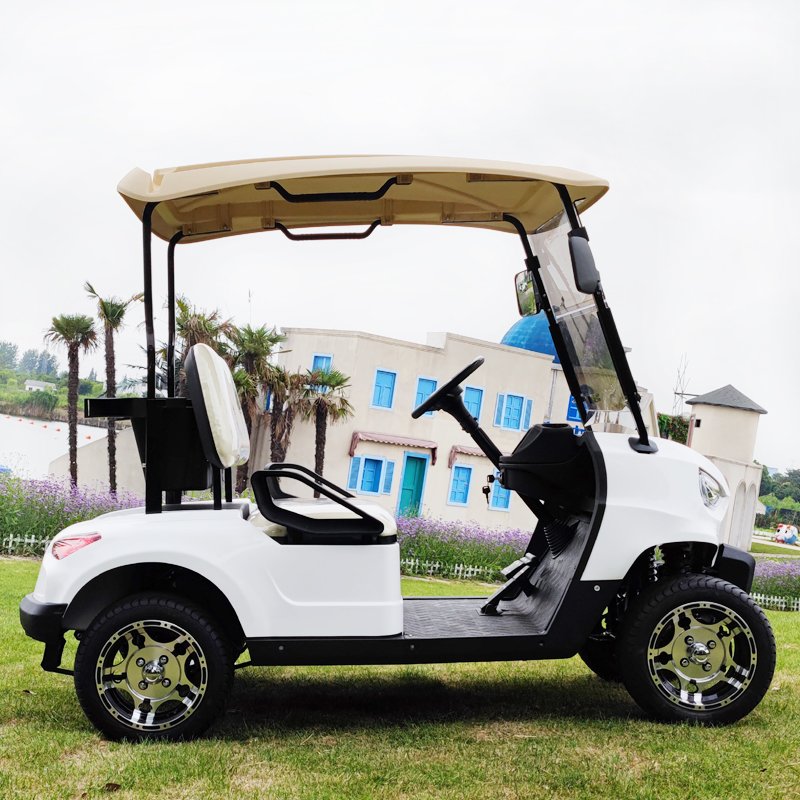 Direct Factory Sales Electric Push Off-Road Golf Cart with 72V Battery 2-Seater Aluminium Frame Buggy Cart on Sale!