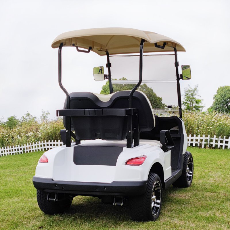 Direct Factory Sales Electric Push Off-Road Golf Cart with 72V Battery 2-Seater Aluminium Frame Buggy Cart on Sale!