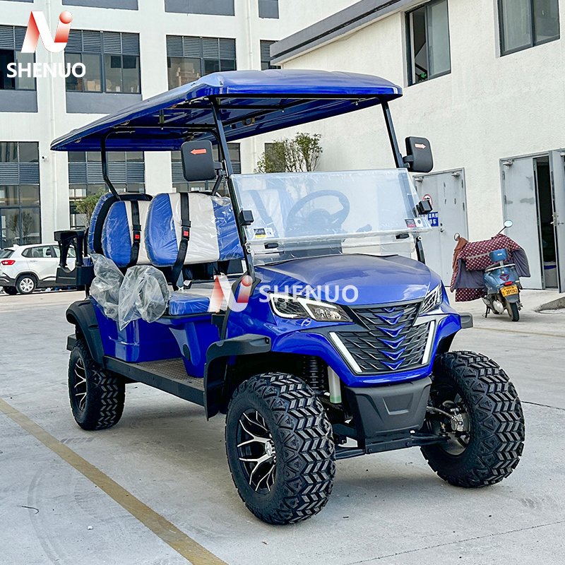 High Strength Leaf Spring Off-Road Vehicle 150/300CC ZLD Single-cylinder Water-cooled Engine Gasoline Golf Cart