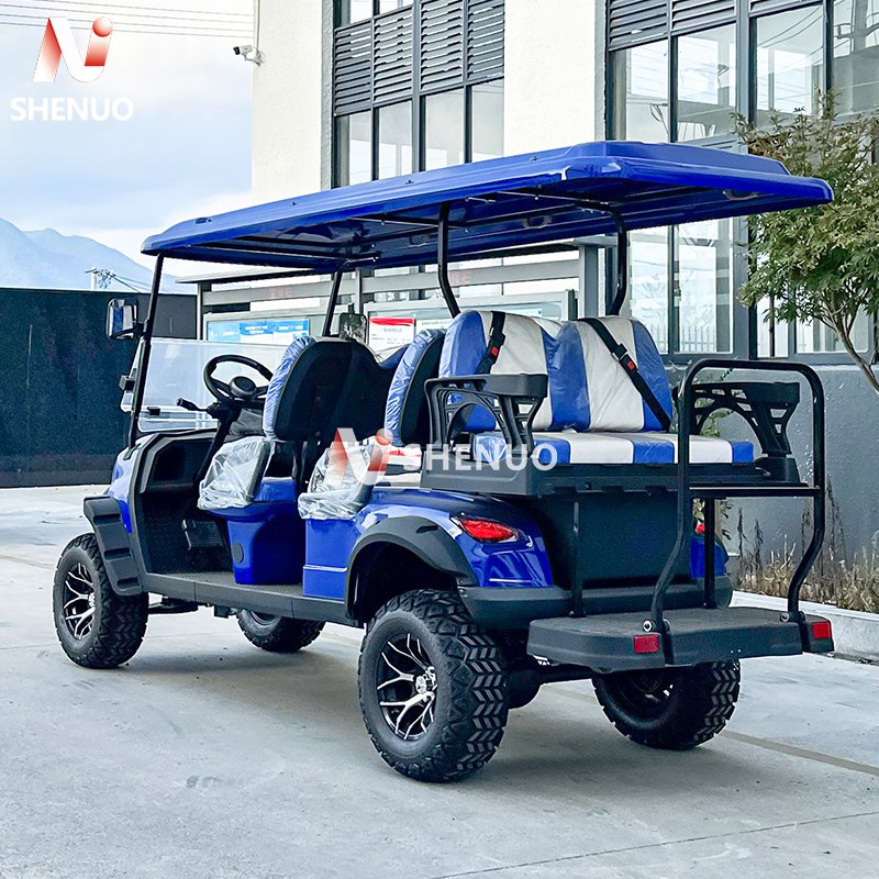 High Strength Leaf Spring Off-Road Vehicle 150/300CC ZLD Single-cylinder Water-cooled Engine Gasoline Golf Cart