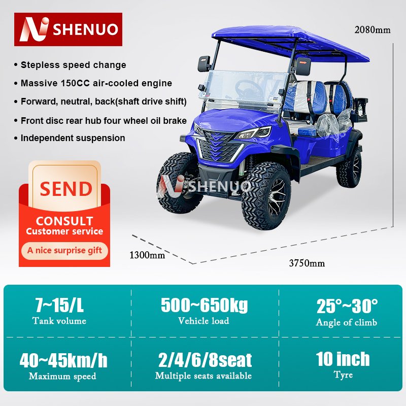 High Strength Leaf Spring Off-Road Vehicle 150/300CC ZLD Single-cylinder Water-cooled Engine Gasoline Golf Cart