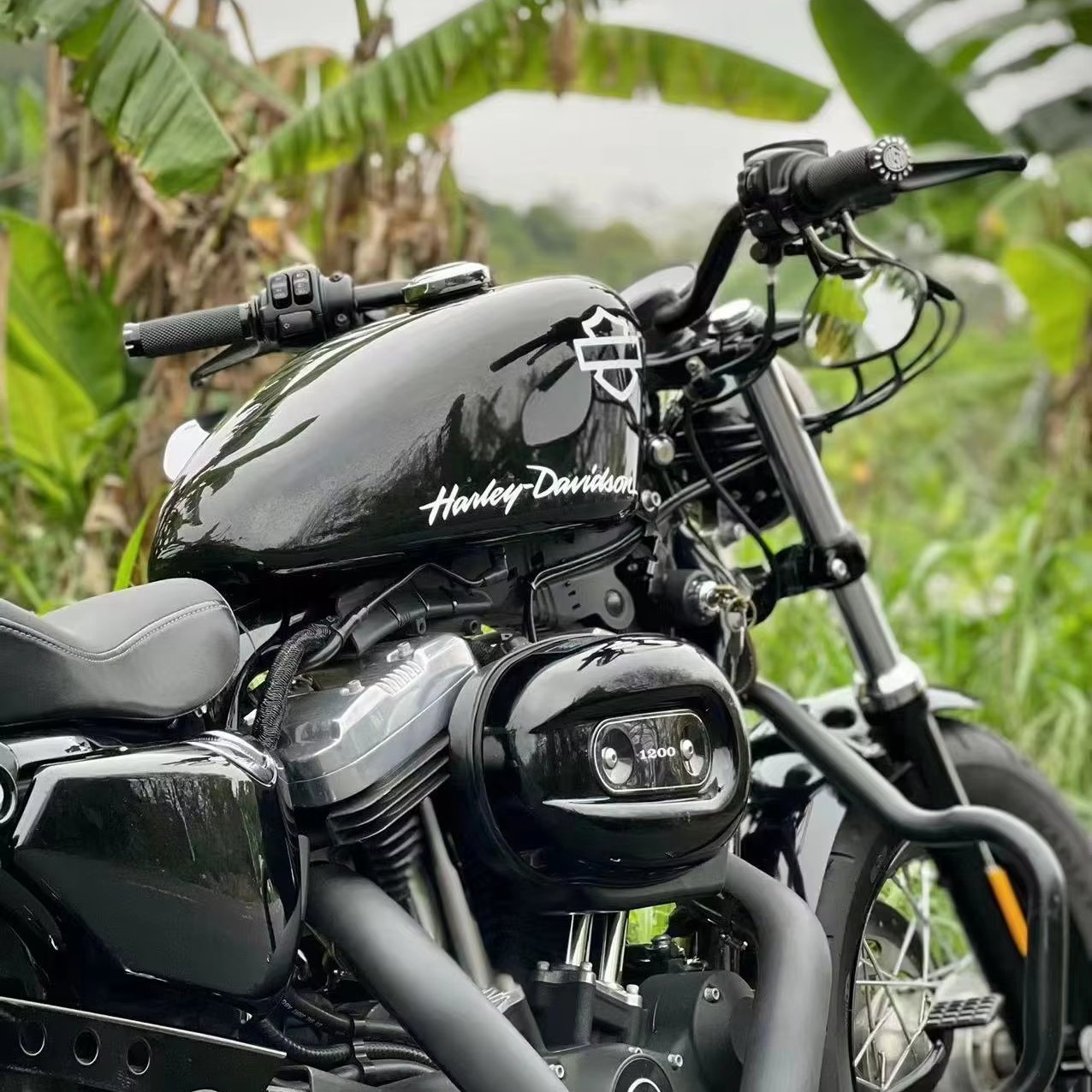 2015 Eary Sportster X48 Black Davis Used Motorcycle to Indonesia DDP Door to Door