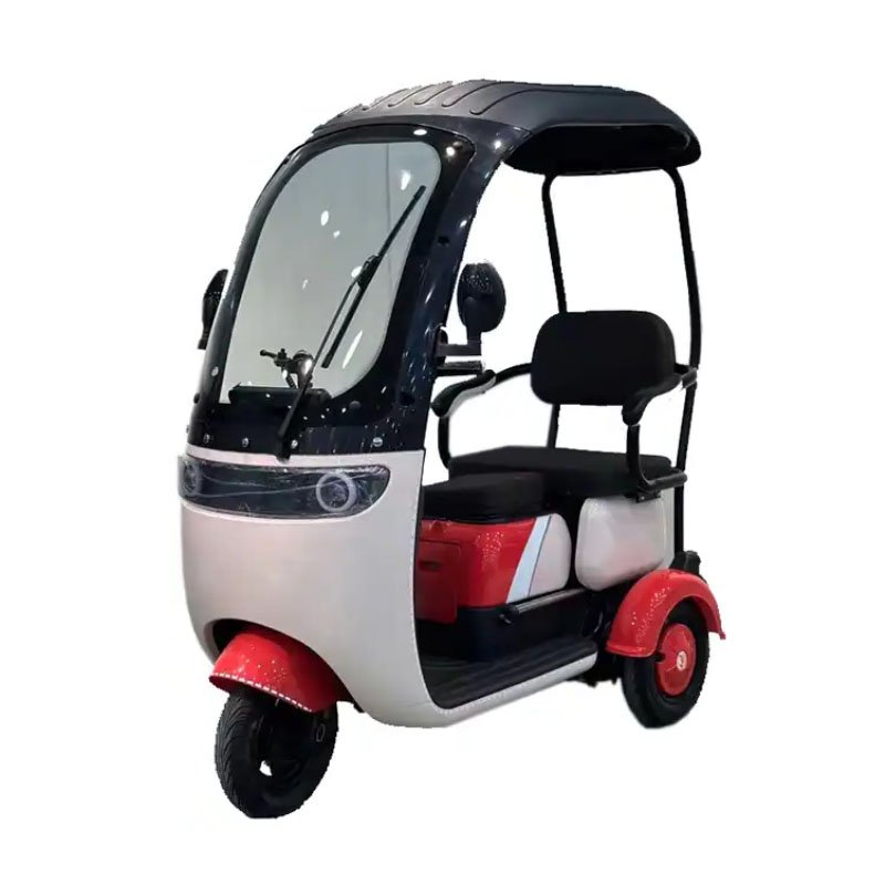 Hot Sale Green Energy Electric Three Wheel Bike Three Wheel Trikes for Sale