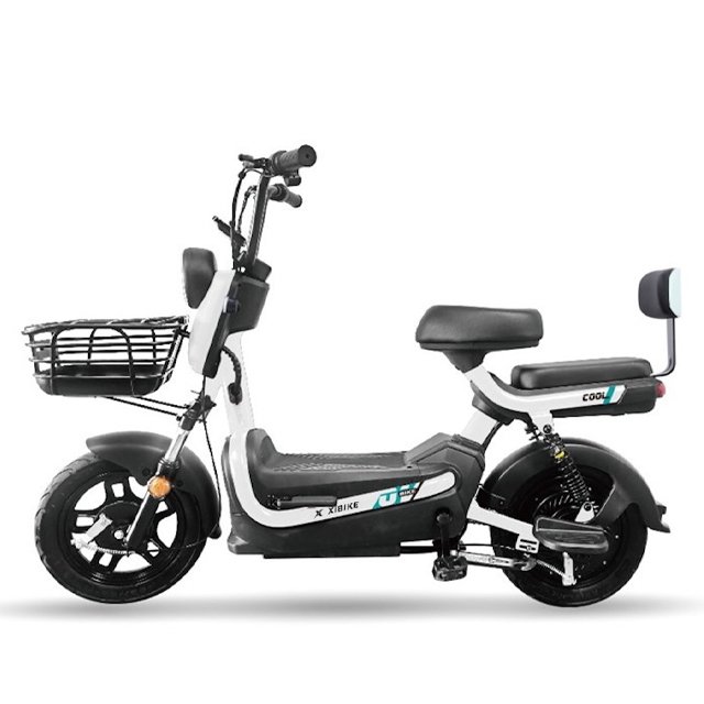 48V 20Ah Electric Bicycle for Adult Male and Female Universal Portable Stylish New Ebike Moped Scooter Lead-acid Battery