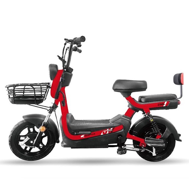 48V 20Ah Electric Bicycle for Adult Male and Female Universal Portable Stylish New Ebike Moped Scooter Lead-acid Battery