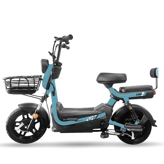 48V 20Ah Electric Bicycle for Adult Male and Female Universal Portable Stylish New Ebike Moped Scooter Lead-acid Battery