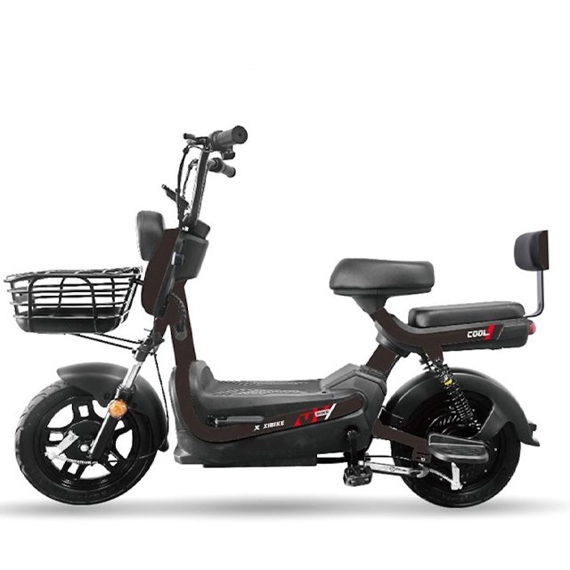 48V 20Ah Electric Bicycle for Adult Male and Female Universal Portable Stylish New Ebike Moped Scooter Lead-acid Battery
