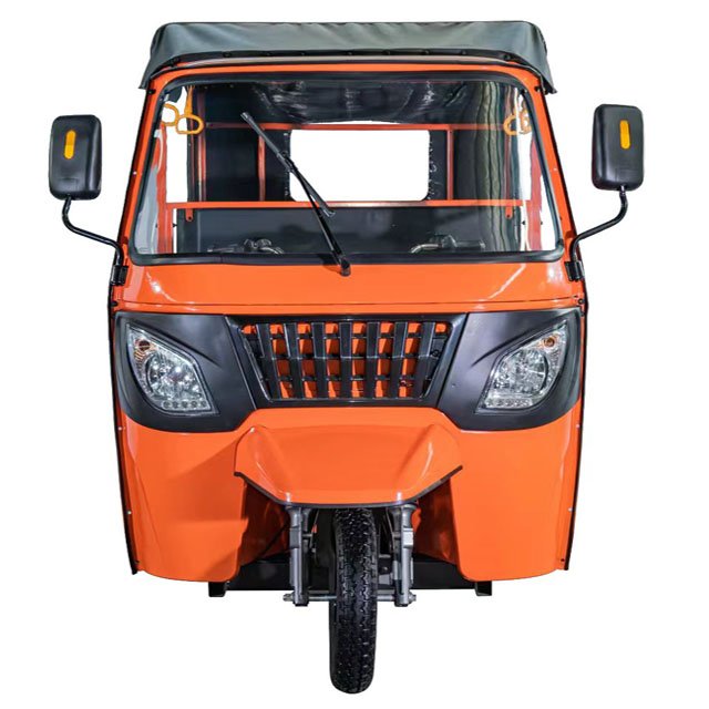 Dudu Deluxe Multi-Seater Electric Tricycle 800W Horsepower Powerful Motor Rugged 3-Wheeled Electric Tricycles