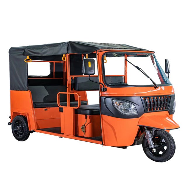 Dudu Deluxe Multi-Seater Electric Tricycle 800W Horsepower Powerful Motor Rugged 3-Wheeled Electric Tricycles