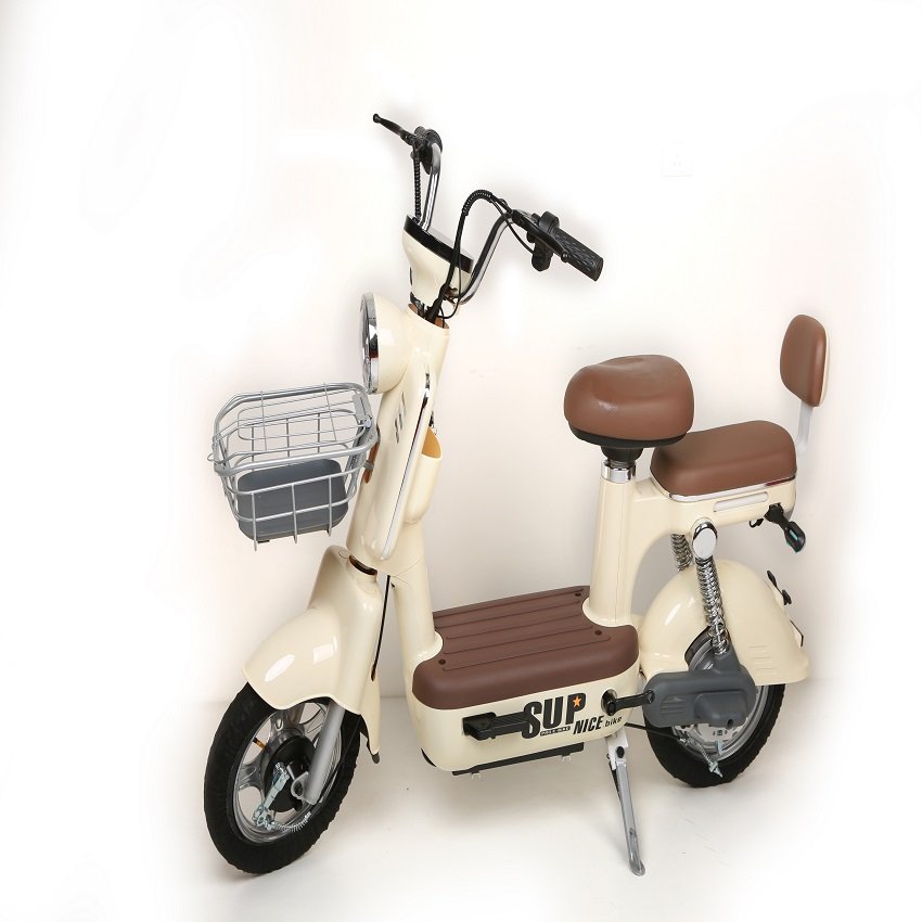 Advanced 48V Electric Bicycle With LCD Instrument & Alarm Steel Frame Rear Hub Motor 3 Speed Gears Electric Bicycle