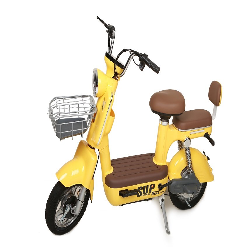 Advanced 48V Electric Bicycle With LCD Instrument & Alarm Steel Frame Rear Hub Motor 3 Speed Gears Electric Bicycle