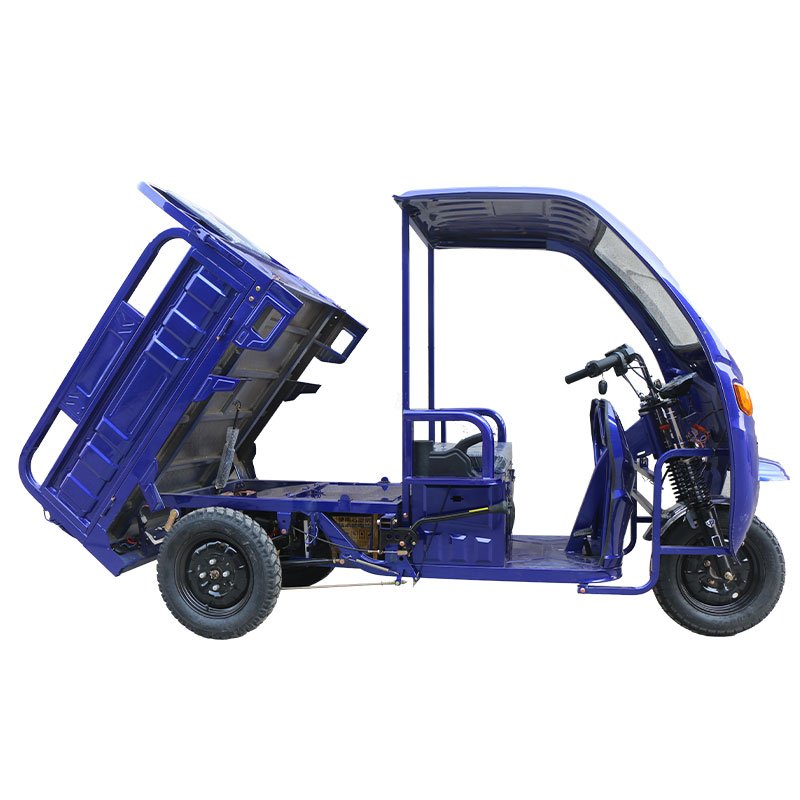 High Quality Electric Cargo Tricycle 1000w Motor From China