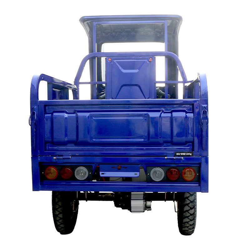 High Quality Electric Cargo Tricycle 1000w Motor From China