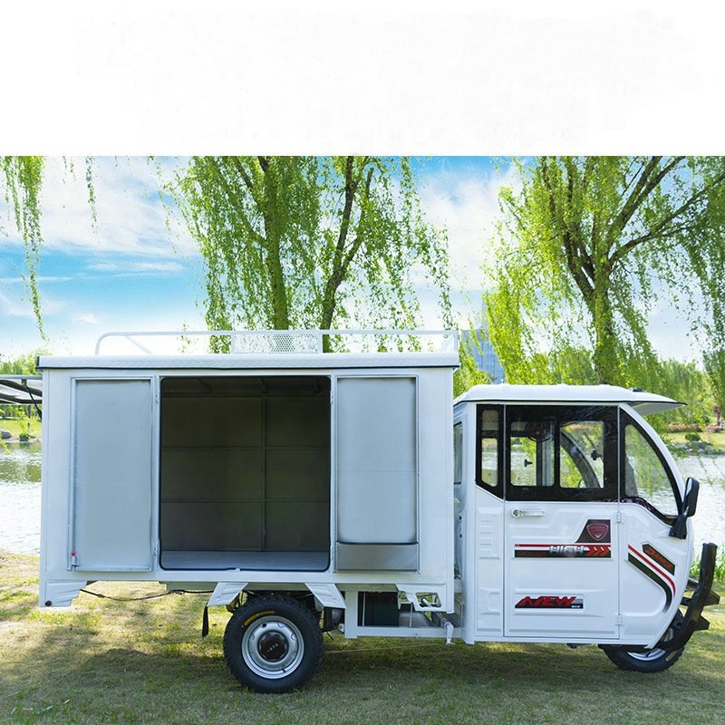 Electric Cargo Tricycle with Cooling Cabinet Solar Electric Tricycle Driving Long Range