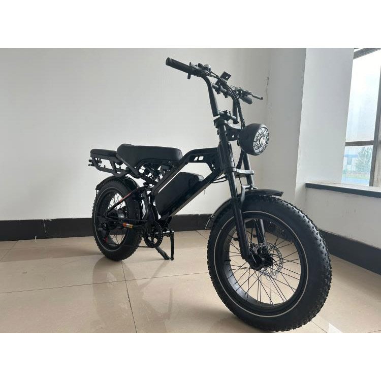 China Factory Good Quality 350w 48v 12Ah Drum Brake 20 Inch Tire China Offroad Mountain City Electric Bicycle for Sale Adult