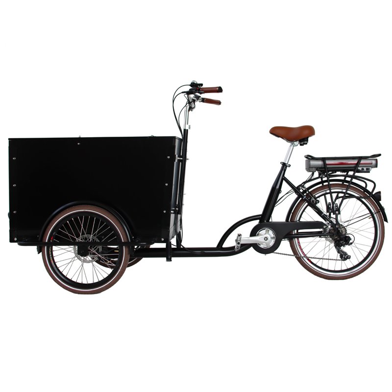 3 Wheels Ice Cream Front Load Tricycle for Sale Pedal Electric Mobile Carts Food Bike Coffee Tricycles Ice Cream Bike