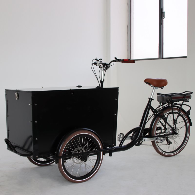 3 Wheels Ice Cream Front Load Tricycle for Sale Pedal Electric Mobile Carts Food Bike Coffee Tricycles Ice Cream Bike