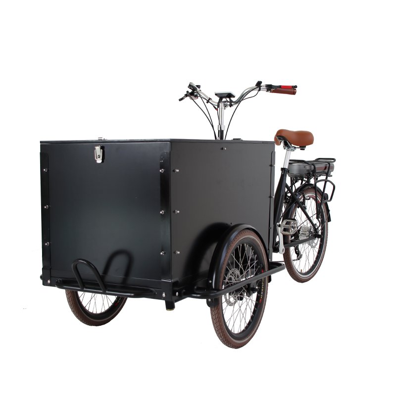 3 Wheels Ice Cream Front Load Tricycle for Sale Pedal Electric Mobile Carts Food Bike Coffee Tricycles Ice Cream Bike