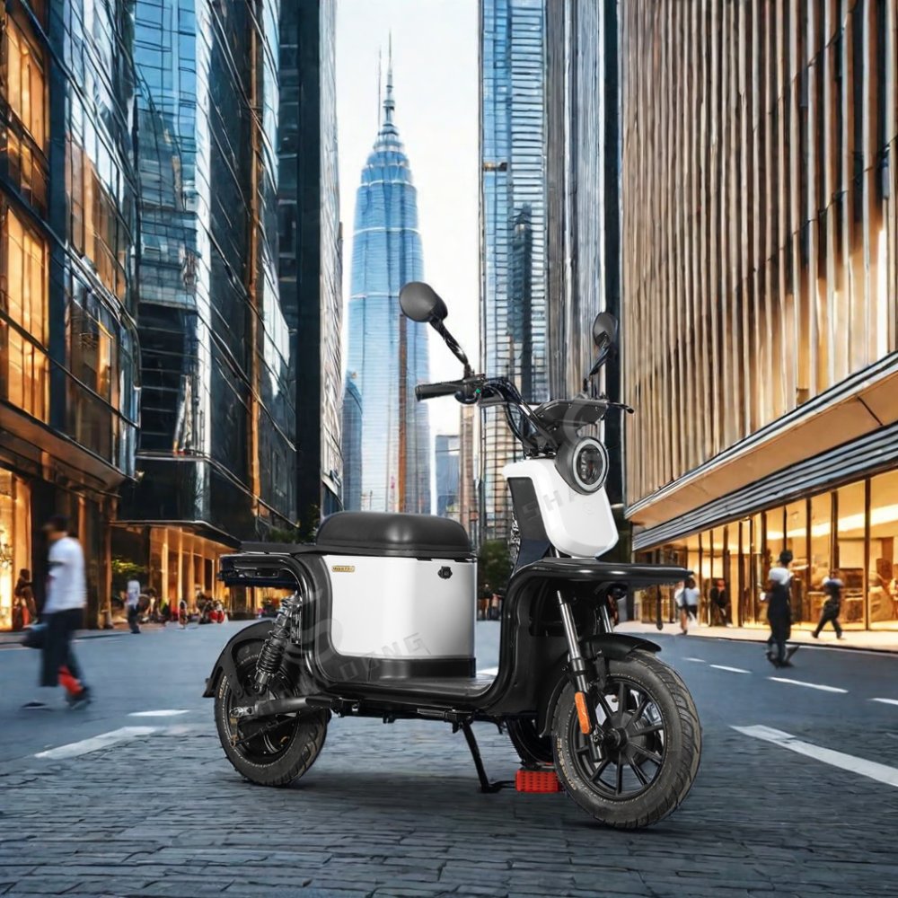 Adult Two Wheel Moto Electrica Scooter with Pedal Assisted Electric Motorbike for Sales LED 500W Trike Bicycle 2 Passenger Open