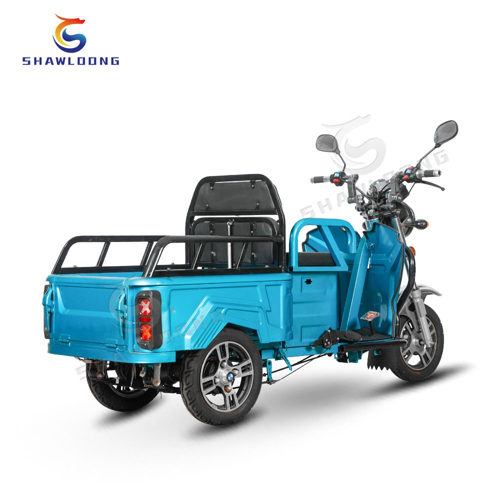 New Arrival Hot Sale Electric Tricycle LED Long Range 350w Electric Cargo Bicycle Adults 48V 20ah 3 Wheel Electric Go Kart 3000w