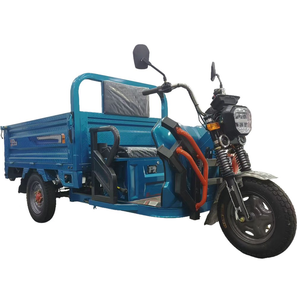 Factory Supply 1000W Sanbengzi Electric Motorcycle 3 Wheel Electric Tricycle Bike for Adults