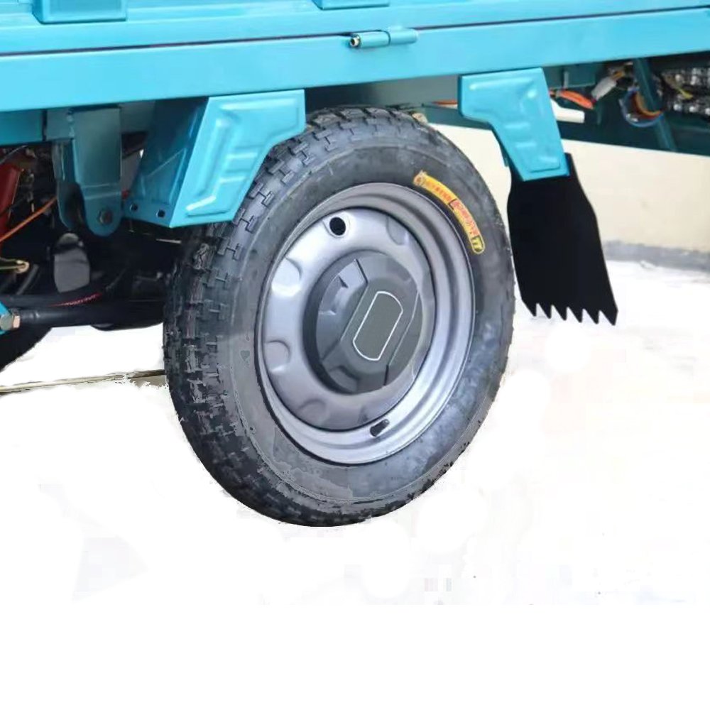 Factory Supply 1000W Sanbengzi Electric Motorcycle 3 Wheel Electric Tricycle Bike for Adults