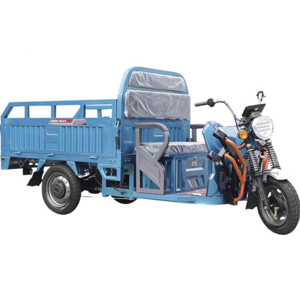 Factory Supply 1000W Sanbengzi Electric Motorcycle 3 Wheel Electric Tricycle Bike for Adults
