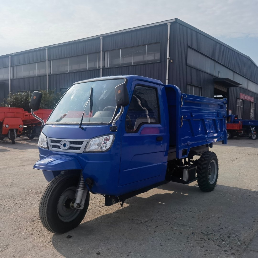 Tuk-tuk Tricycle with EU EPA Certified Diesel Engine Enclosed Cab Double Rear Tires Luxury Leather Seaters