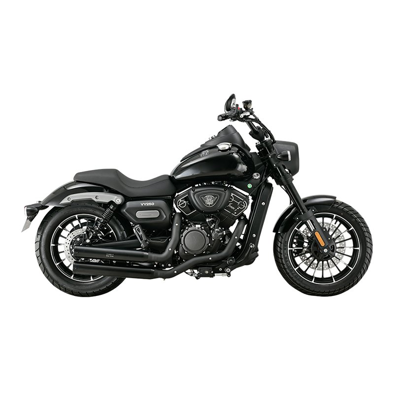 Jonway 250cc V Cylinder Four Stroke Engine Abs Disc Brake Racing High Speed off Road Scooter with EEC Certificate