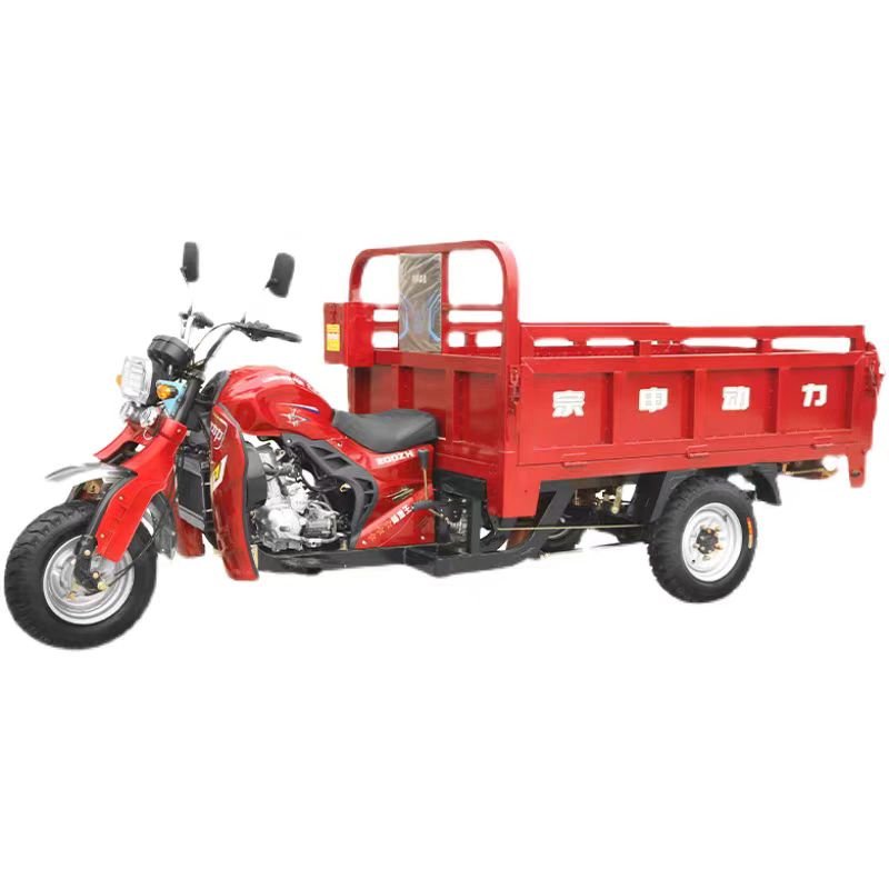 Gasoline-Powered Tricycle Motorcycle Car Fuel Gasoline Motorized Scooter Motorbike