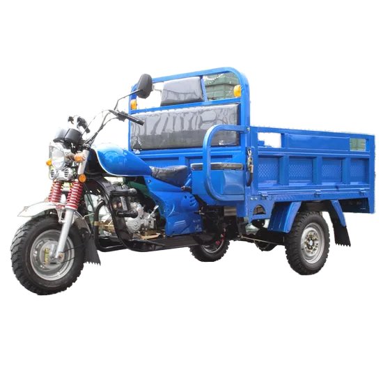 Gasoline-Powered Tricycle Motorcycle Car Fuel Gasoline Motorized Scooter Motorbike