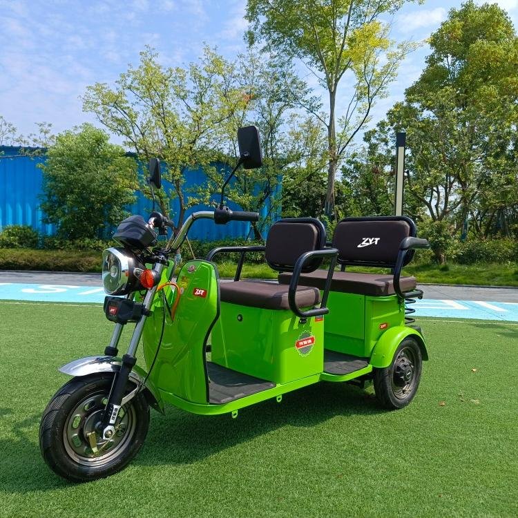 Electric Tricycle Family Small Elderly Scooter Elderly Pick up Children Double Row Ladies Pull Cargo 3 Wheeler Electric Tricycle