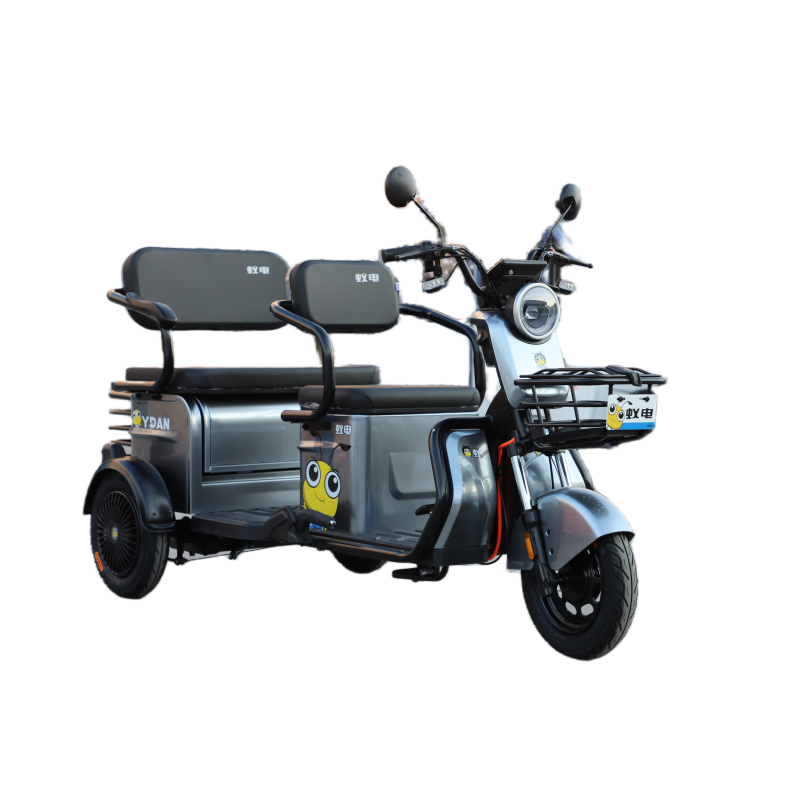 Popular Appearance EEC Tricycle 3 Wheeler e rickshaw spare parts passenger scooters