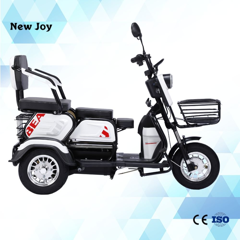 Good Quality Price Electric Tricycle Pedicab 2 Seat Cargo Tricycle 60V 20AH LEAD ACID Handicapped Scooters 3 Wheel Motorcycle
