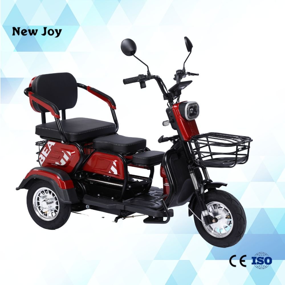 Good Quality Price Electric Tricycle Pedicab 2 Seat Cargo Tricycle 60V 20AH LEAD ACID Handicapped Scooters 3 Wheel Motorcycle