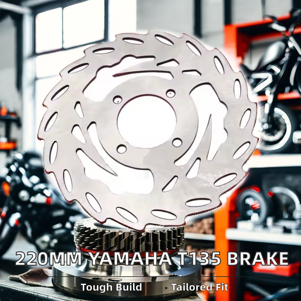 Custom 290mm 220mm Brake Disc for Kawasaki Ninja 300