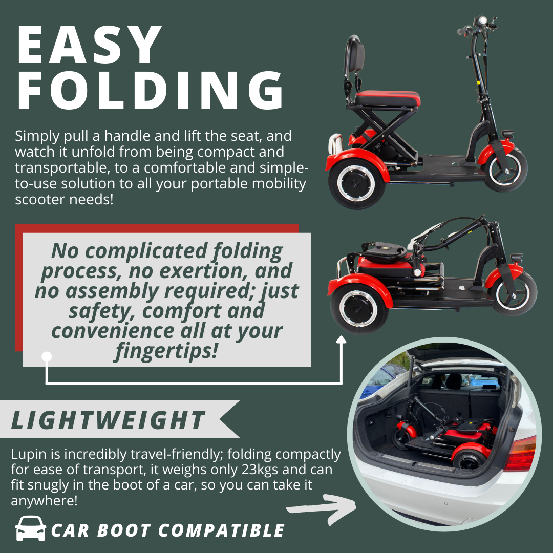 E Bike Mobility Ebike Moped Scooter 3 Wheel Electric Adults Tricycle