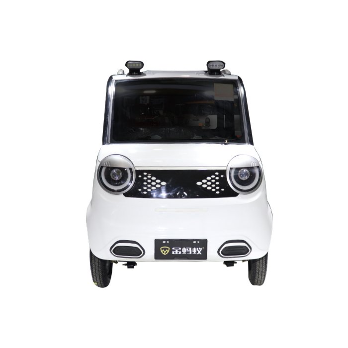 Mini Ev Cargo Truck Electric Truck Pickup Right Hand Drive Pickup Truck FD-2 Door