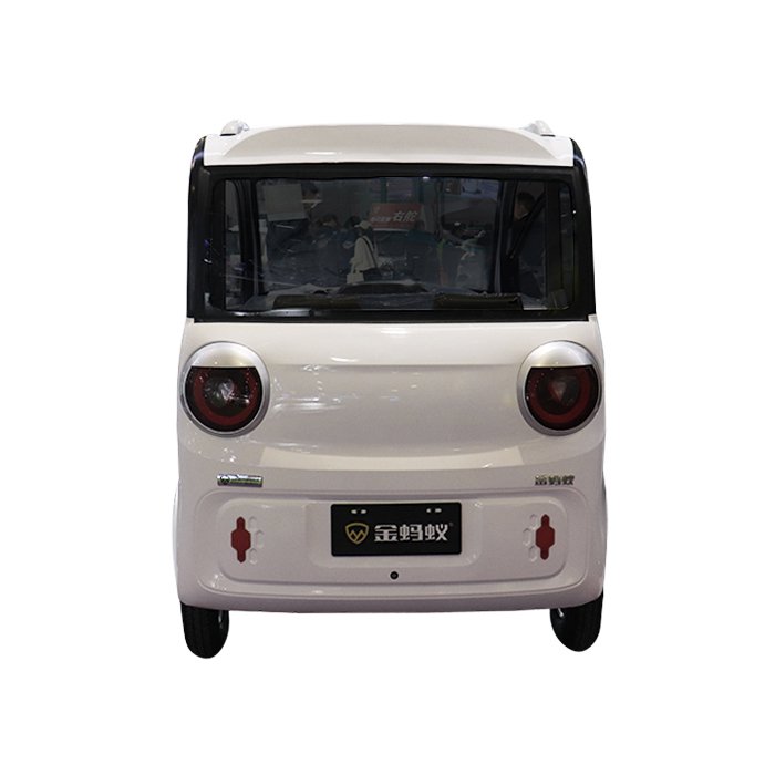 Mini Ev Cargo Truck Electric Truck Pickup Right Hand Drive Pickup Truck FD-2 Door