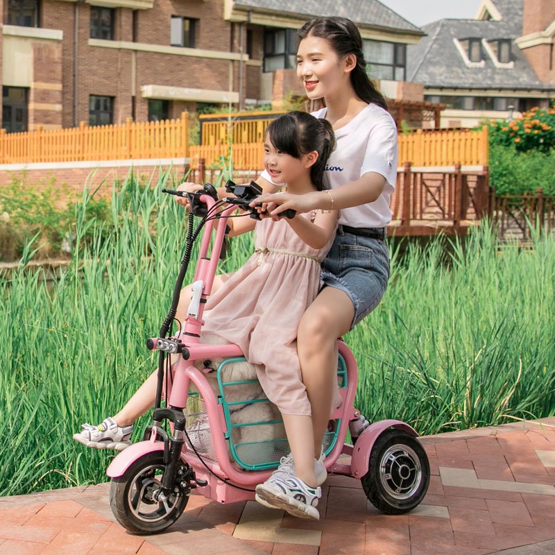 500W High Speed Pet Dog Electric Scooter Good Selling 3 Wheels Electric Mini Moped With Dog Carrier