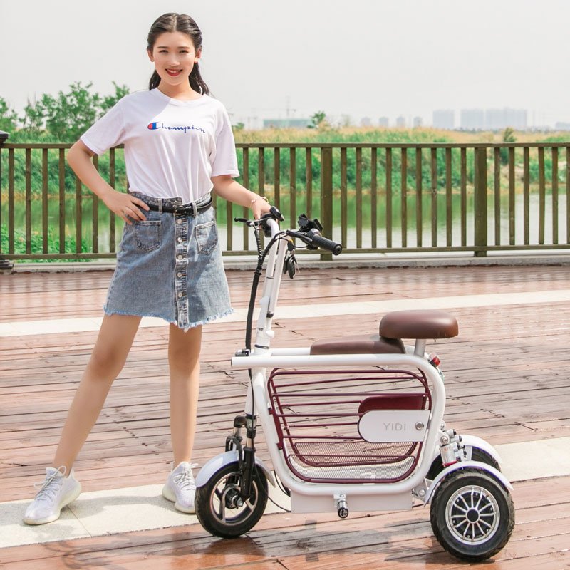 500W High Speed Pet Dog Electric Scooter Good Selling 3 Wheels Electric Mini Moped With Dog Carrier