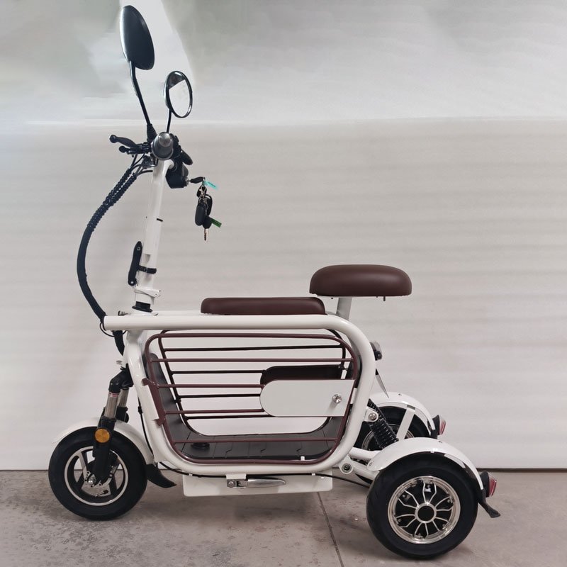 500W High Speed Pet Dog Electric Scooter Good Selling 3 Wheels Electric Mini Moped With Dog Carrier