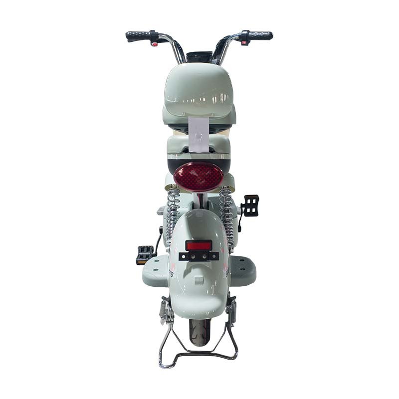 PP Hot selling 350W 30km/h front and rear double drum brake electric bicycle