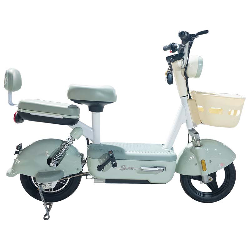 PP Hot selling 350W 30km/h front and rear double drum brake electric bicycle